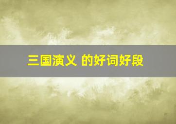 三国演义 的好词好段